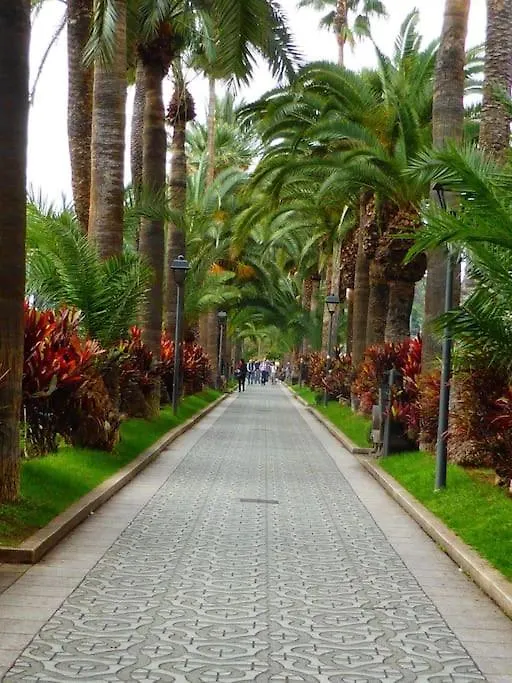 First Line Beach Apartment Puerto de la Cruz  Spain